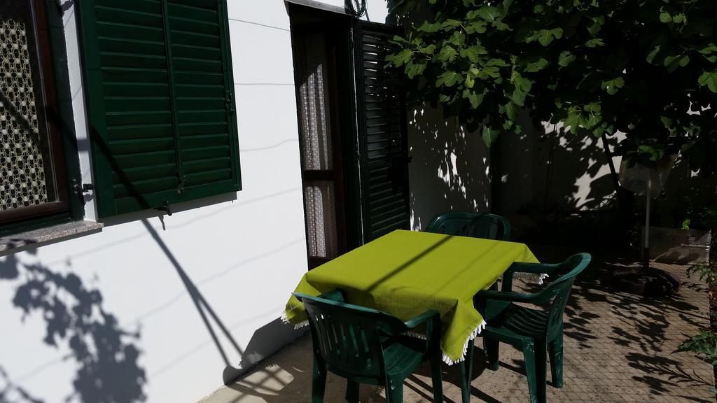 Apartments And Rooms Mirjana Bibinje Oda fotoğraf